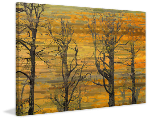 Burnt Trees