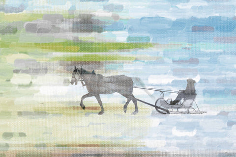 Sled Ride
