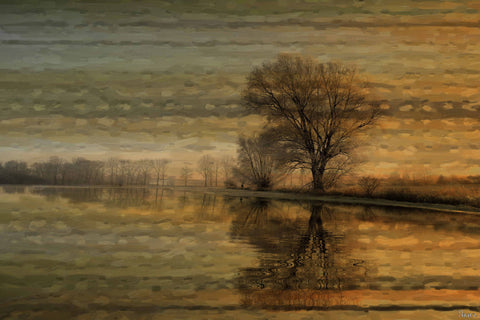 Tree Sunset