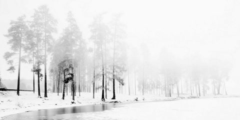 Winter River