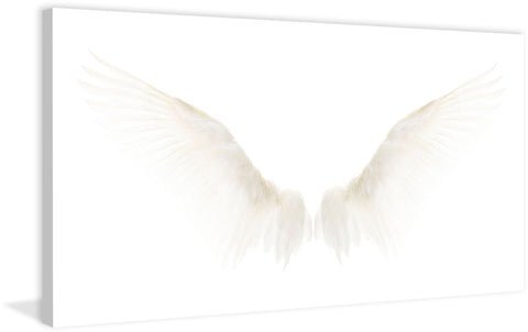 White Wings