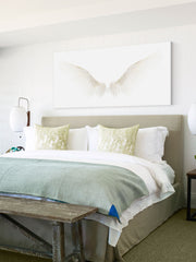 White Wings