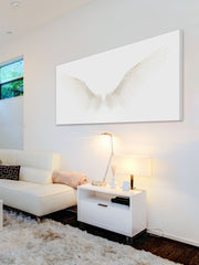 White Wings