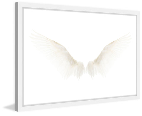 White Wings