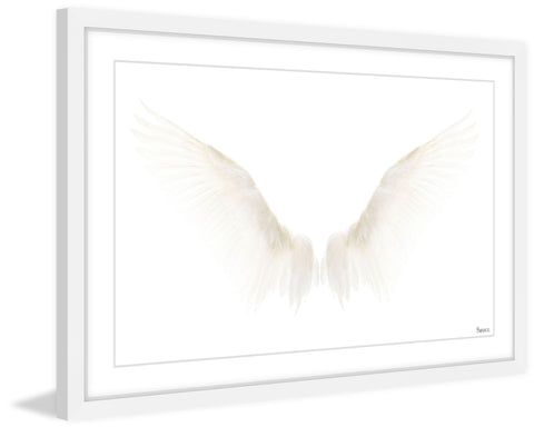 White Wings