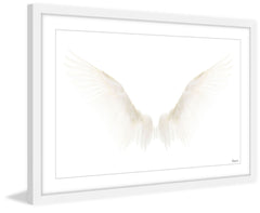 White Wings