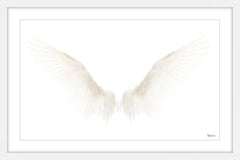 White Wings