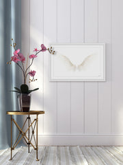 White Wings