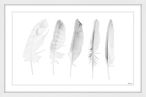 Five White Feathers II