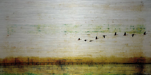Birds Flying