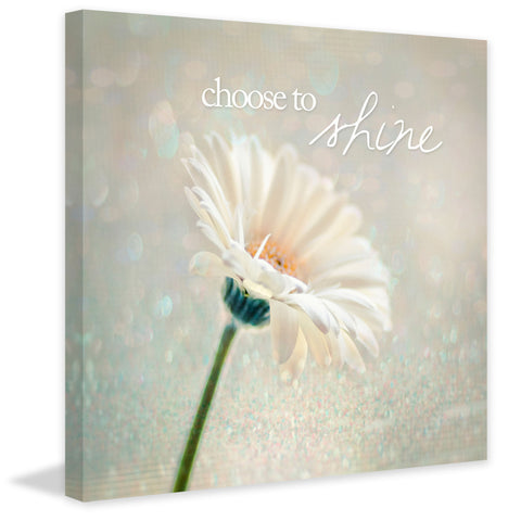 Choose to Shine