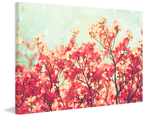Dogwood