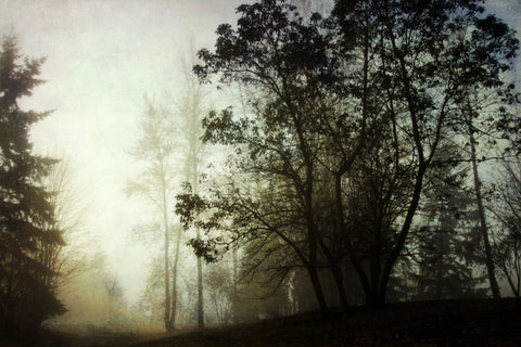 Foggy