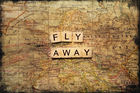 Fly Away 2