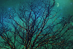 Magical Night