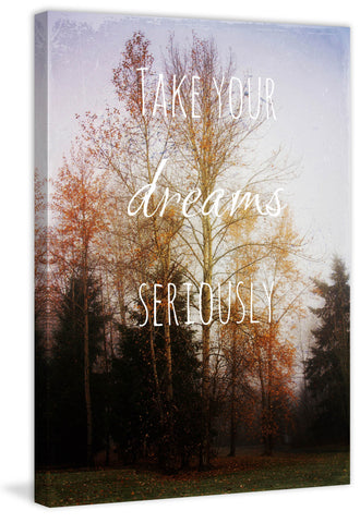 Take Your Dreams Seriously