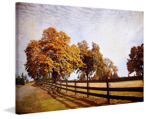 Autumn Morning