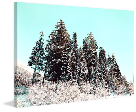 Cold Winter Morning