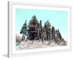 Cold Winter Morning