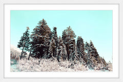 Cold Winter Morning