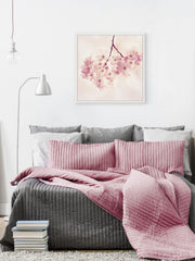 Cherry Blossoms